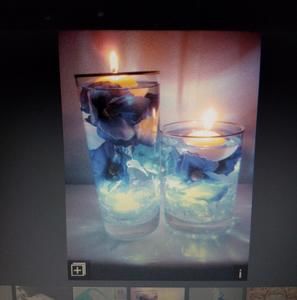 Meet your Posher, Kesha